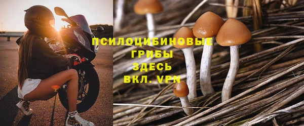 гидра Абинск