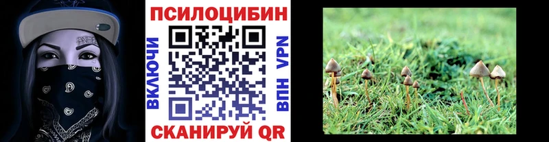 купить  сайты  сайты даркнета официальный сайт  Галлюциногенные грибы Psilocybine cubensis  Шенкурск 